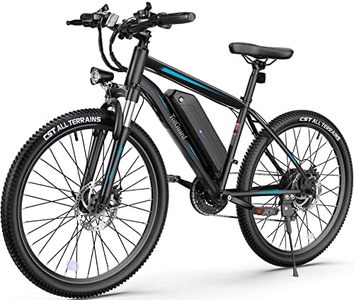 Electric bike