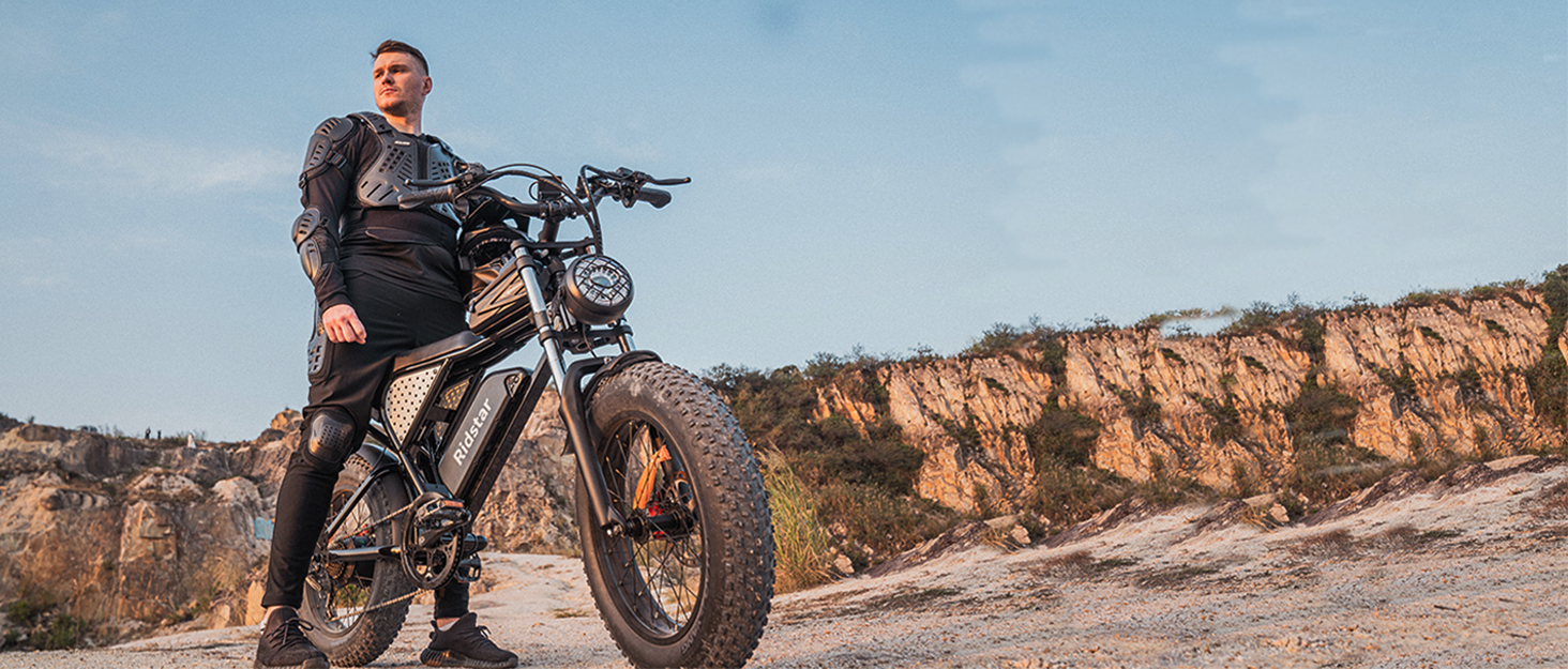 Electric bike for adults