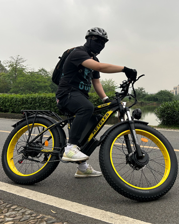 dual motor ebike
