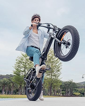 Folding Electric Bike