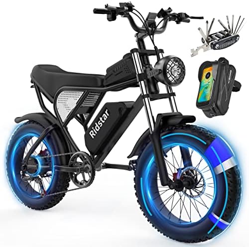 Electric bike