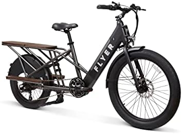 Electric cargo bike