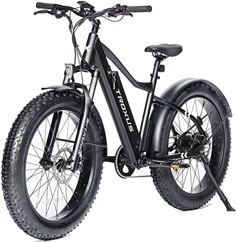 Electric bike