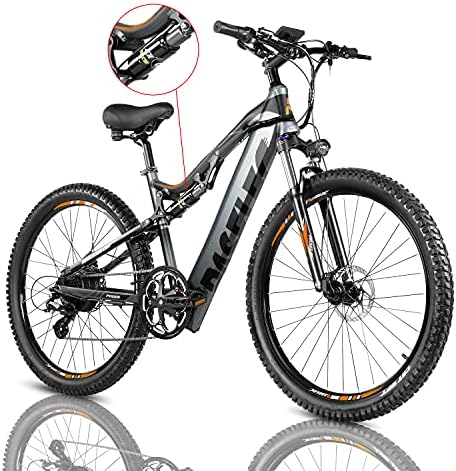 Electric mountain bike