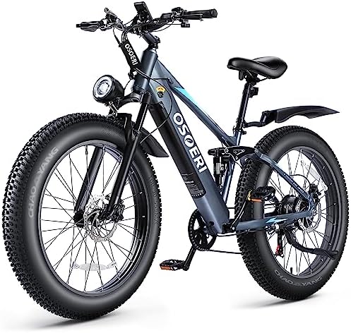 Electric mountain bike