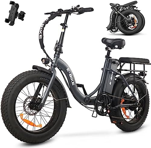 Electric cargo bike