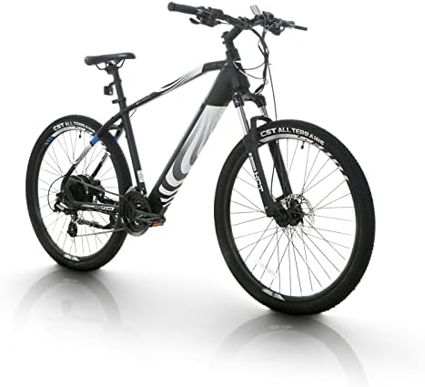 Electric mountain bike