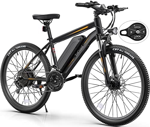 Electric mountain bike