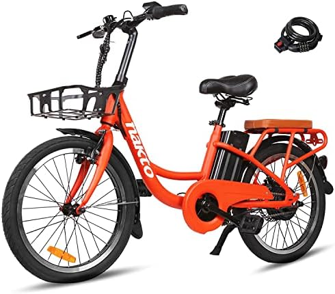 Electric cargo bike