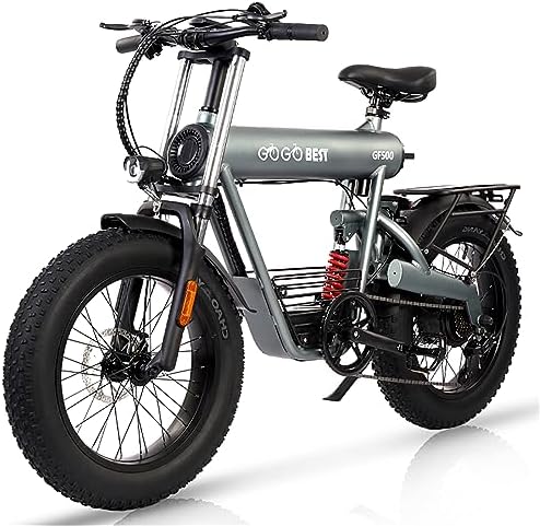 Electric hybrid bike