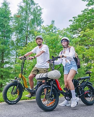 Romatlink electric bike Dolphin