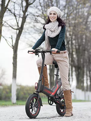 folding electric bike