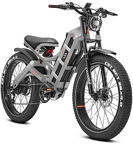 Electric mountain bike