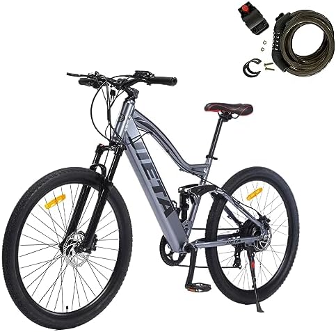 Electric hybrid bike