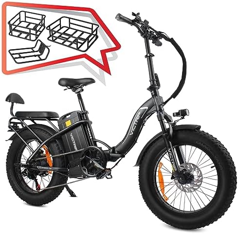 Electric cargo bike