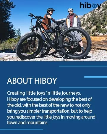 hiboy p6 electric bike