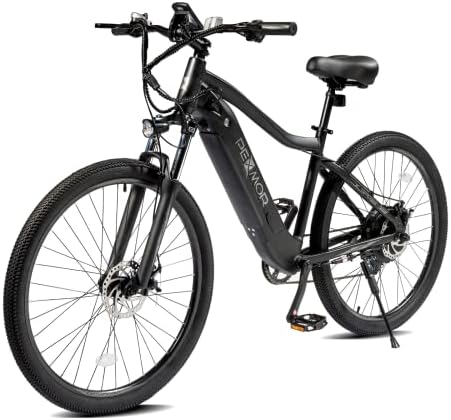 Electric mountain bike