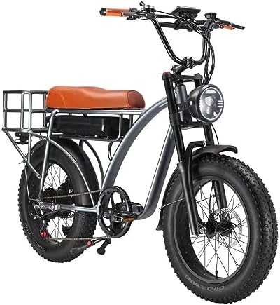 Electric cargo bike