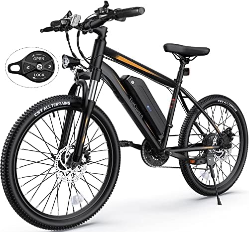 Electric bicycle