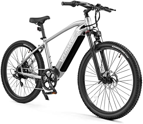 Electric mountain bike