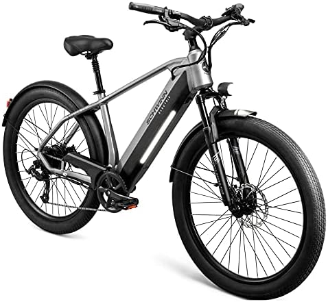 Electric hybrid bike