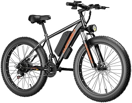 Electric bike