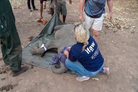 Exploring Zimbabwe's Water Safari: A Magical Adventure