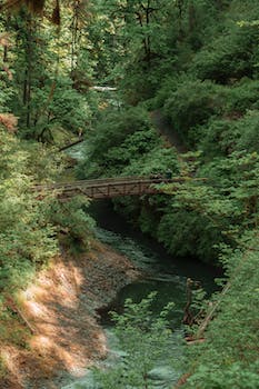 Permanent Protection Secured for an Exquisite Portion of the Pacific Crest Trail