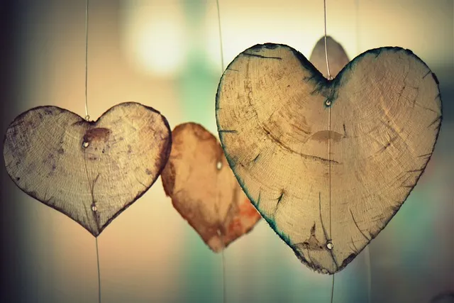 Exploring the Deliciousness and Benefits of Hearts of Palm