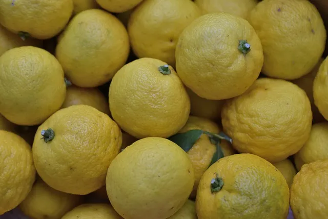 Unveiling the Hidden Element in this Refreshing Summer Spritz: Yuzu Sake!