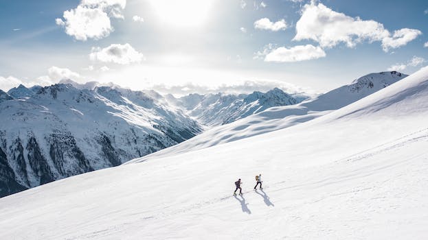 Exploring the Rise of Alpine Wine