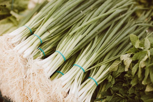 The Evolution of Scallion Pancake: From Chinese Delicacy to Versatile American Bread