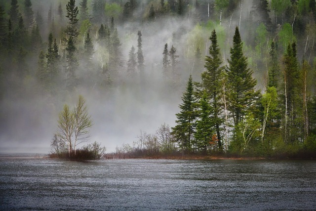 The Crucial Role of the World Heritage Convention in Safeguarding Biodiversity