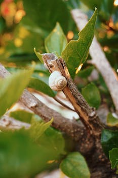 DIY Recipe for Homemade Magic Shell