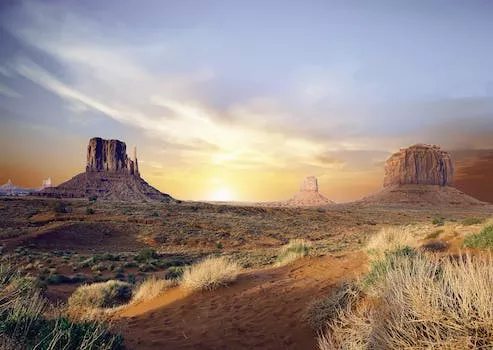 The Unlikely Vineyards of Arizona