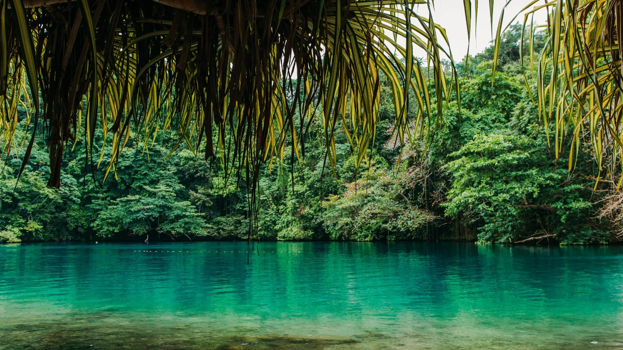 Hidden Gems in Jamaica