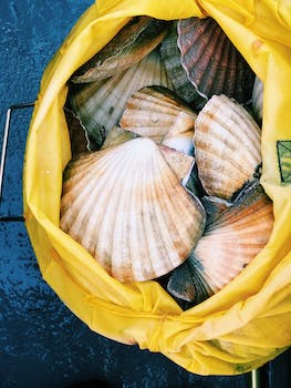 Foolproof Scallop Recipe for Home Cooking