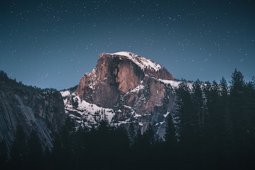 Half Dome Now Conquered by Yosemite's Bears