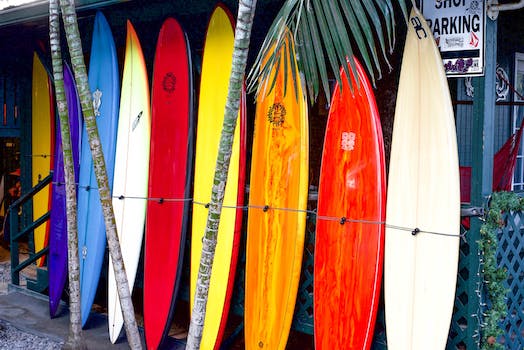 Choosing the Right Surfboard