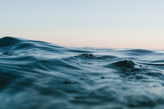 Exploring the Depths of the Deep Ocean with Susan Casey