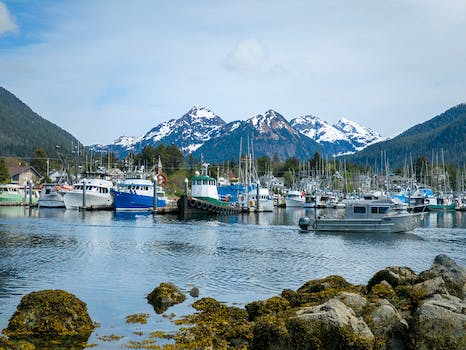 Sitka