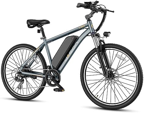 Electric mountain bike