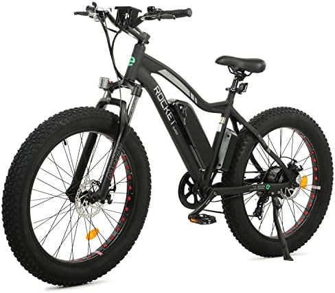 Electric bike