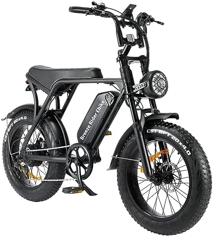 Electric bike