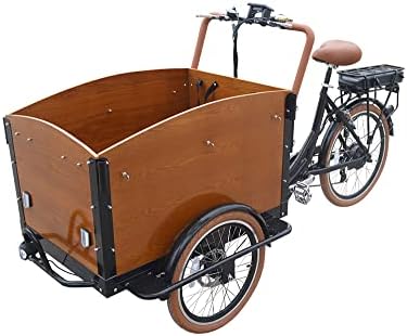 Electric cargo bike