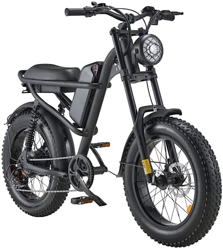 Electric bike