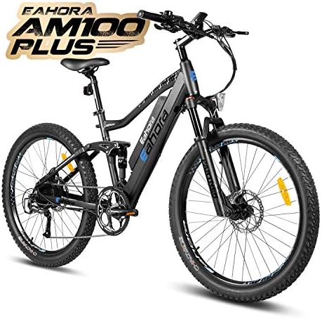 Electric mountain bike