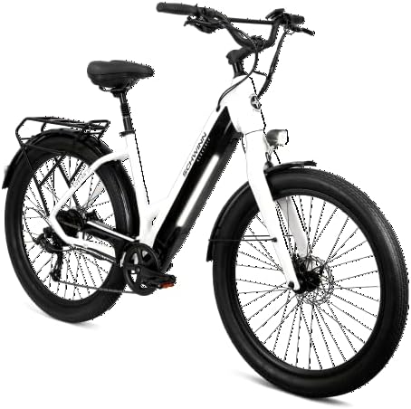 Electric hybrid bike