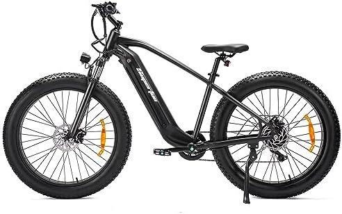 Electric bicycle