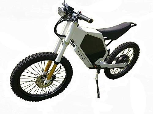 Electric mountain bike